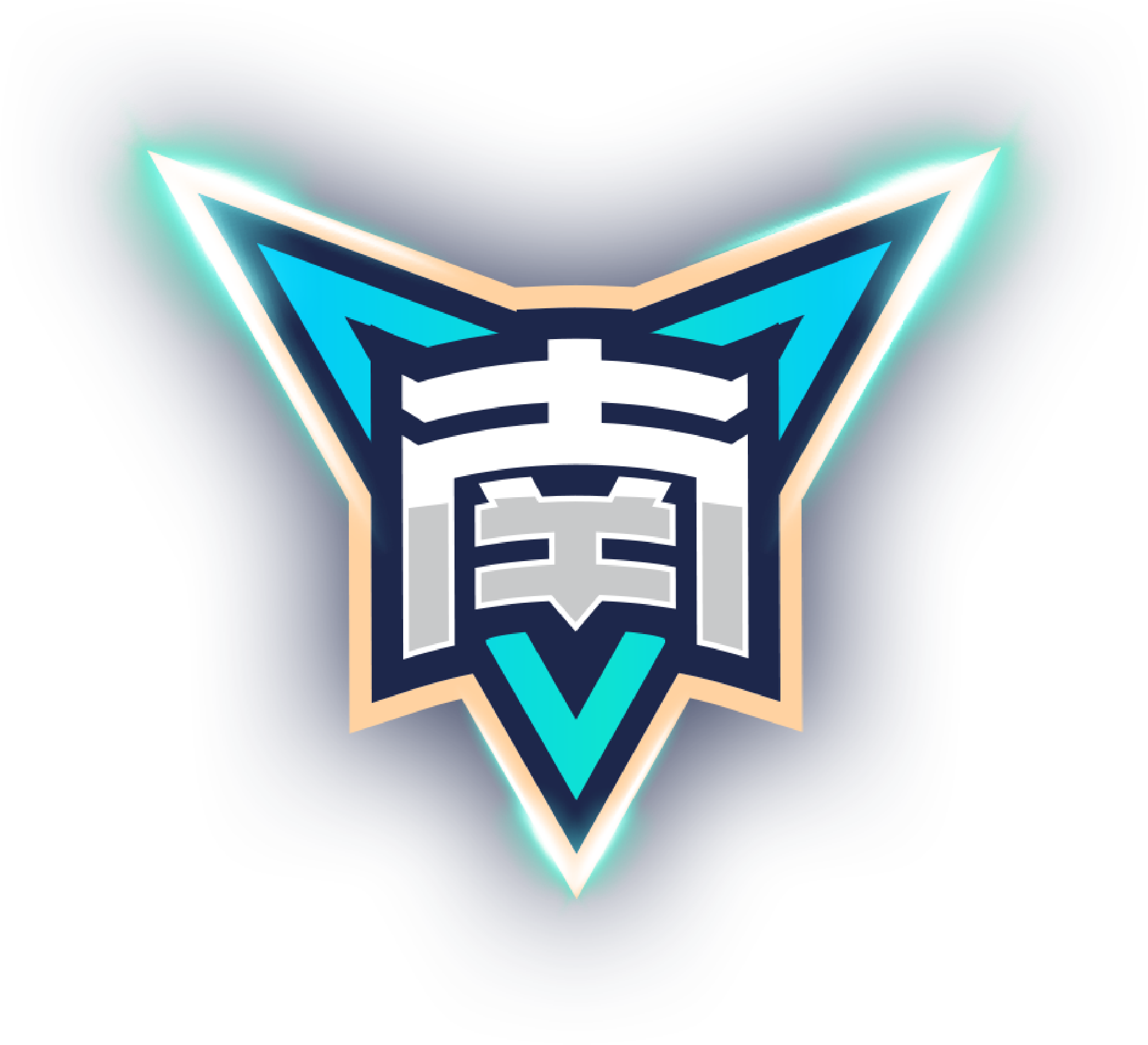 塞伊奈约基